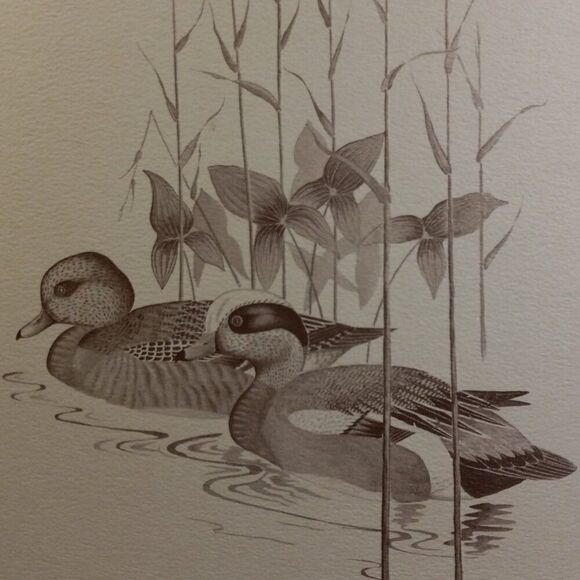 Vintage American Waterfowl Etching/Print Lynn Forehand 4 of 5 Cottagecor… - Picture 7 of 7